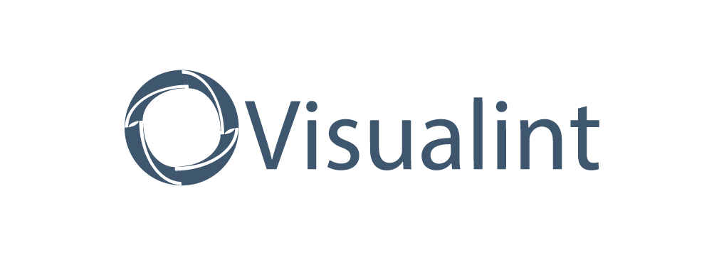 Visualint logo